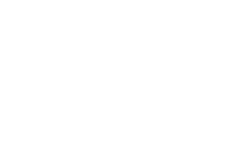 Swiss IT Security